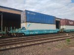 BRAD PRT-065161-3